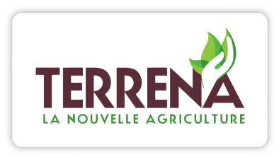 Logo-terrena